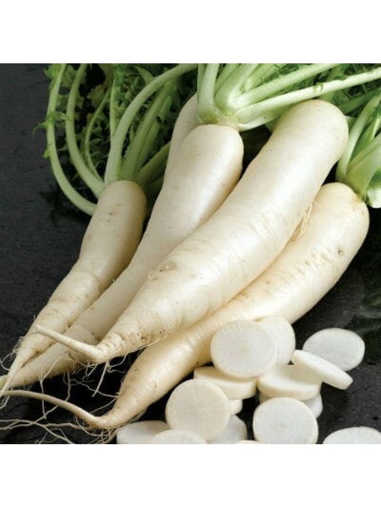     			Jignisha Seeds Hybrid White Radish Vegetable ( 500 Seeds )