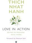 Love in Action: Writings on Nonviolent Social Change