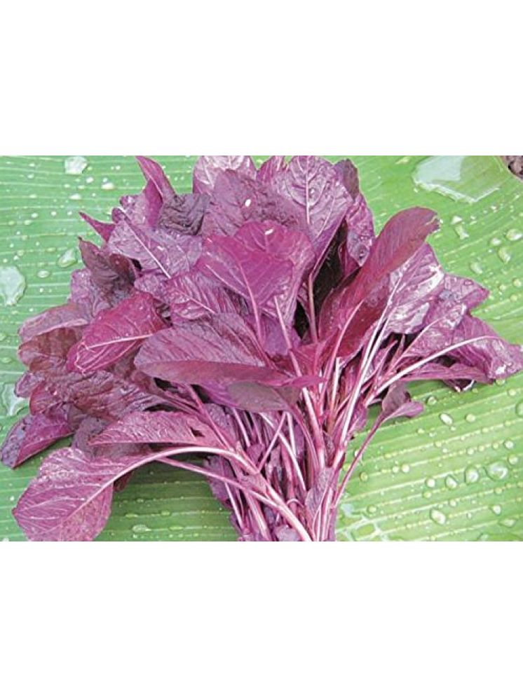     			LiveNature Amaranthus Red Vegetable ( 100 Seeds )