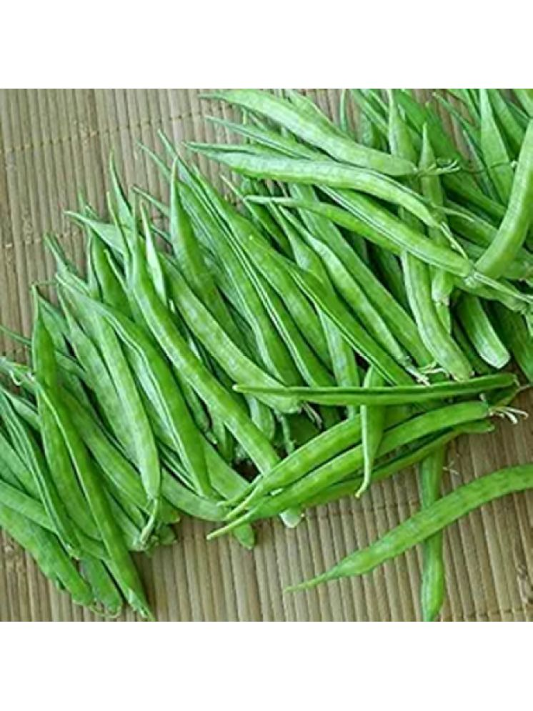     			PARTHVA SEEDS Hybrid Cluster Beans Vegetable ( 100 Seeds )