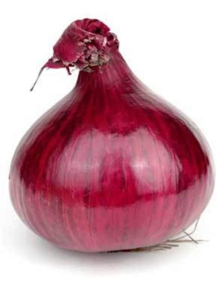     			LiveNature Red Onion Vegetable ( 100 Seeds )