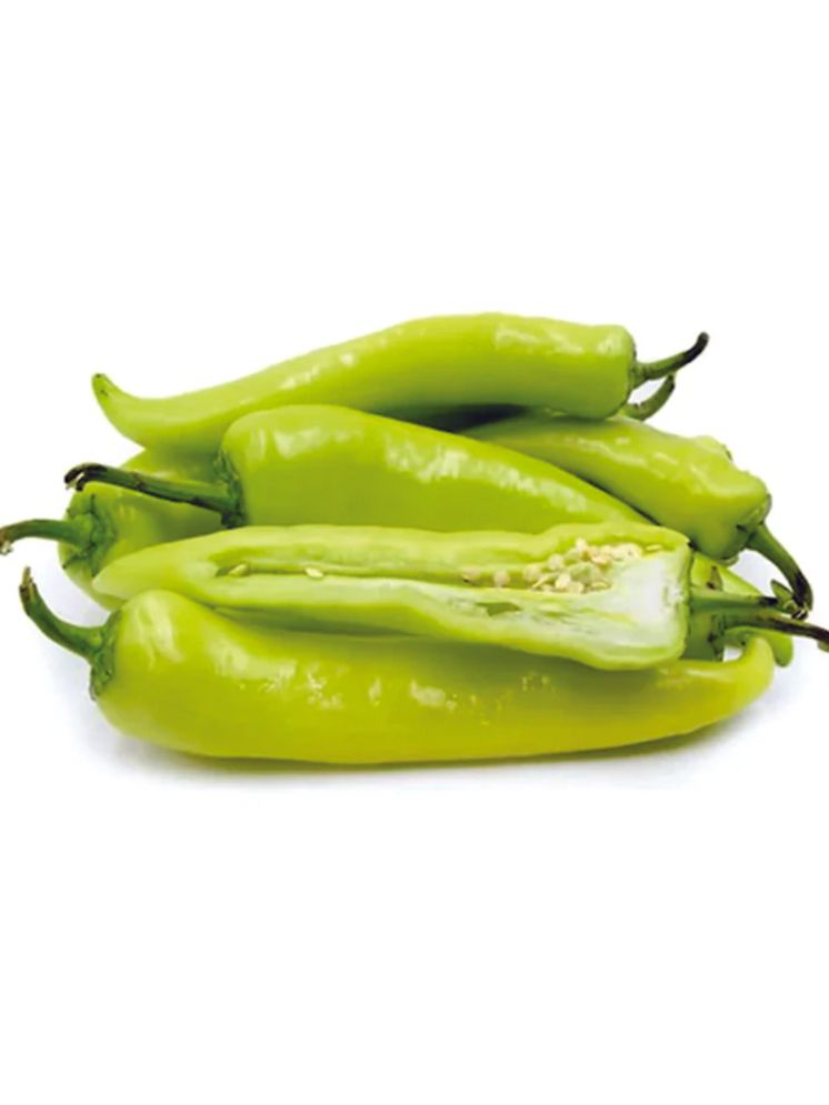     			PARTHVA SEEDS Organic Green Chilli Vegetable ( 250 Seeds )