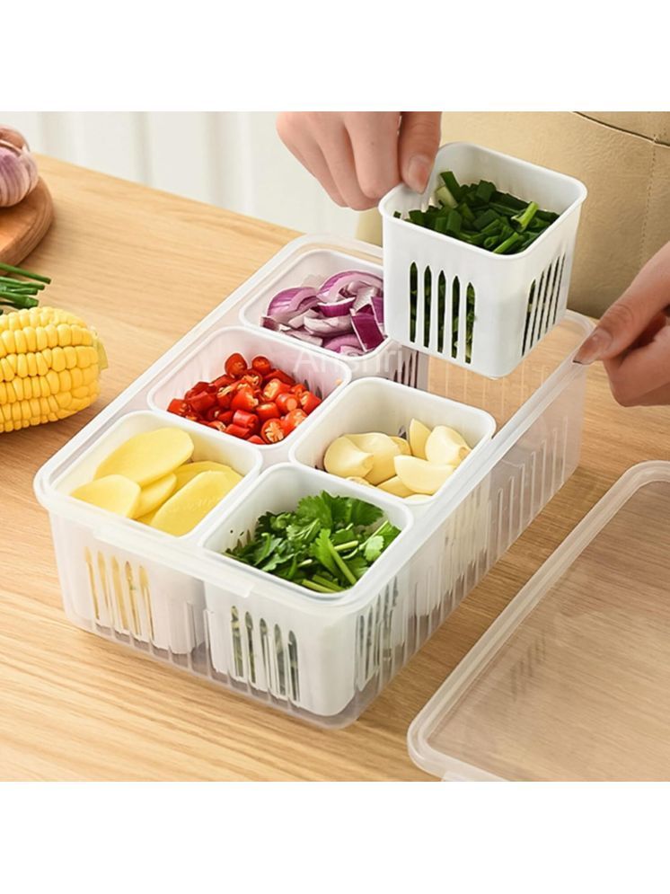     			DarkShri Plastic White Food Container ( Set of 1 )