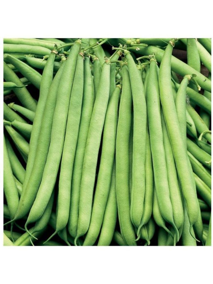     			Vedhahi French Beans Vegetable ( 15 Seeds )