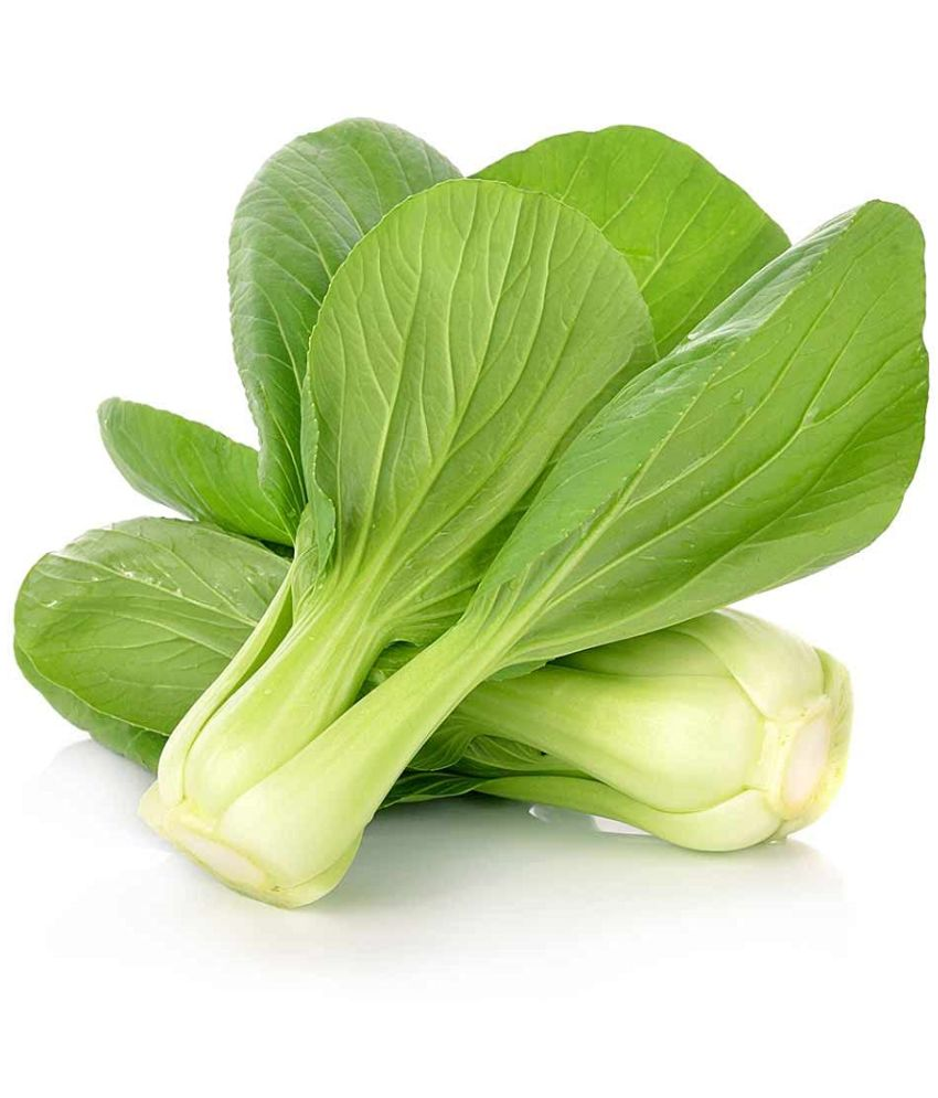     			Vedhahi Hybrid Bok Choy Vegetable ( 50 Seeds )