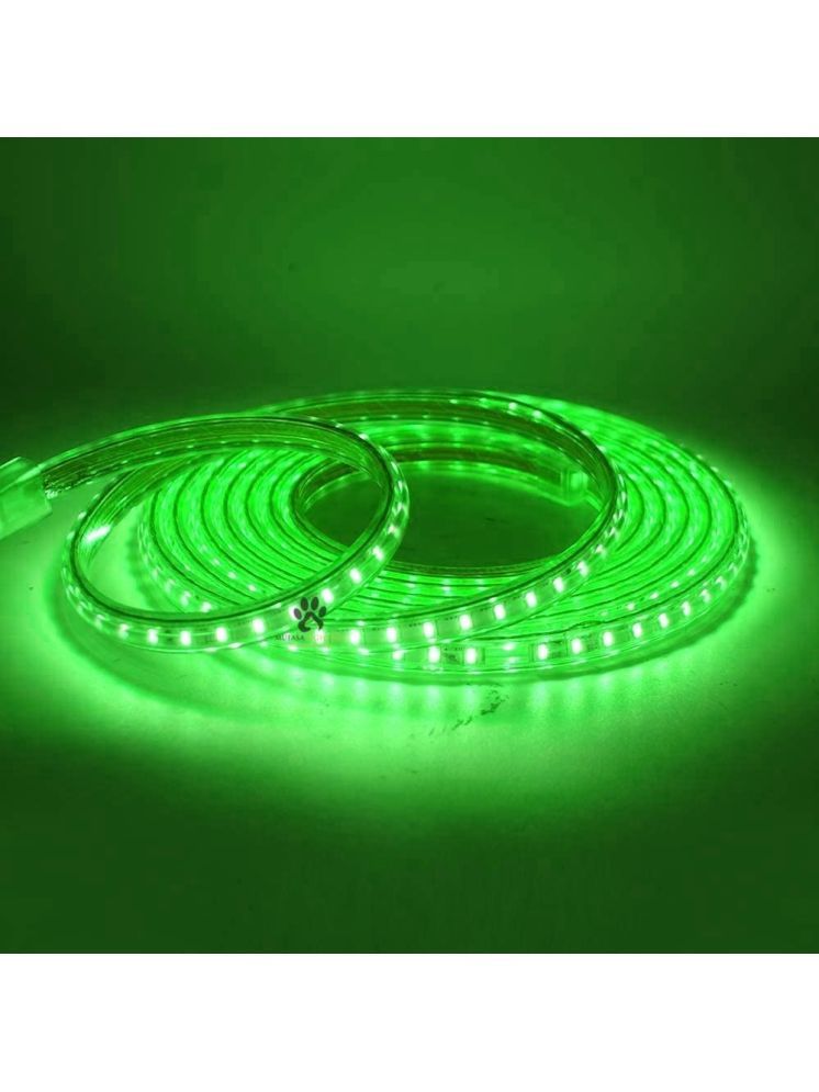     			ZESTRUM Green 5M LED Strip ( Pack of 1 )