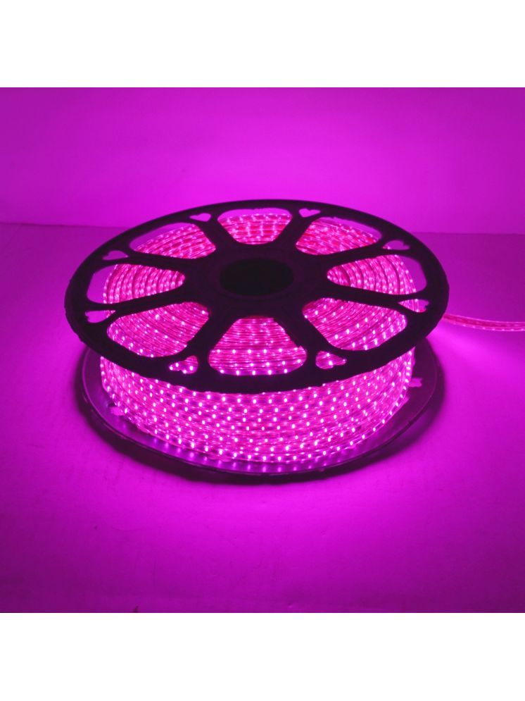     			ZESTRUM Pink 10 Mtr LED Strip ( Pack of 1 )