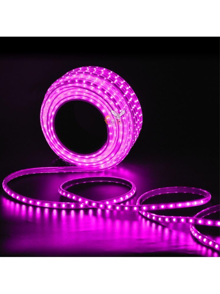     			ZESTRUM Pink 20M LED Strip ( Pack of 1 )