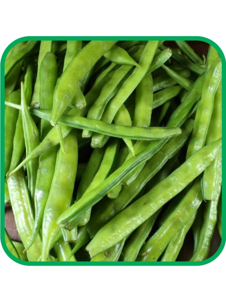     			Aero Seeds Cluster Beans Vegetable ( 50 Seeds )