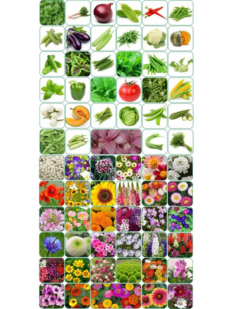     			Aero Seeds Combo Pack Of 35 Varieties Flower Seeds 35 Varieties Vegetable Seeds