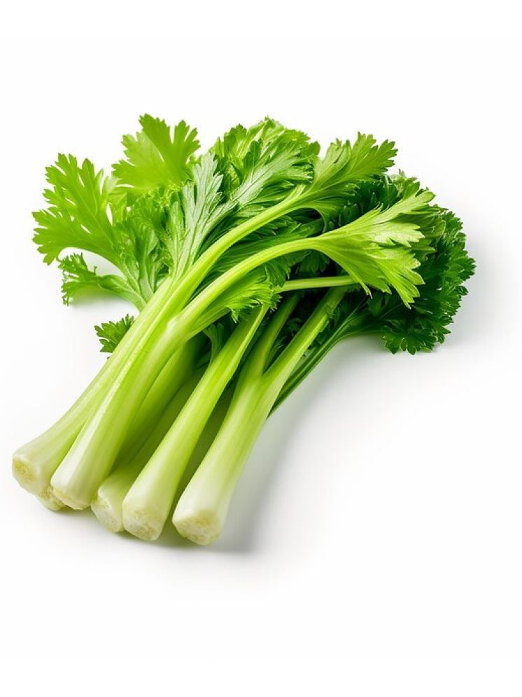     			Jignisha Seeds Hybrid Celery Vegetable ( 100 Seeds )