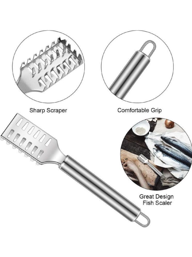     			VillWin Silver Stainless Steel Fish Scale Remover Pack of 2 ( Set of 2 )