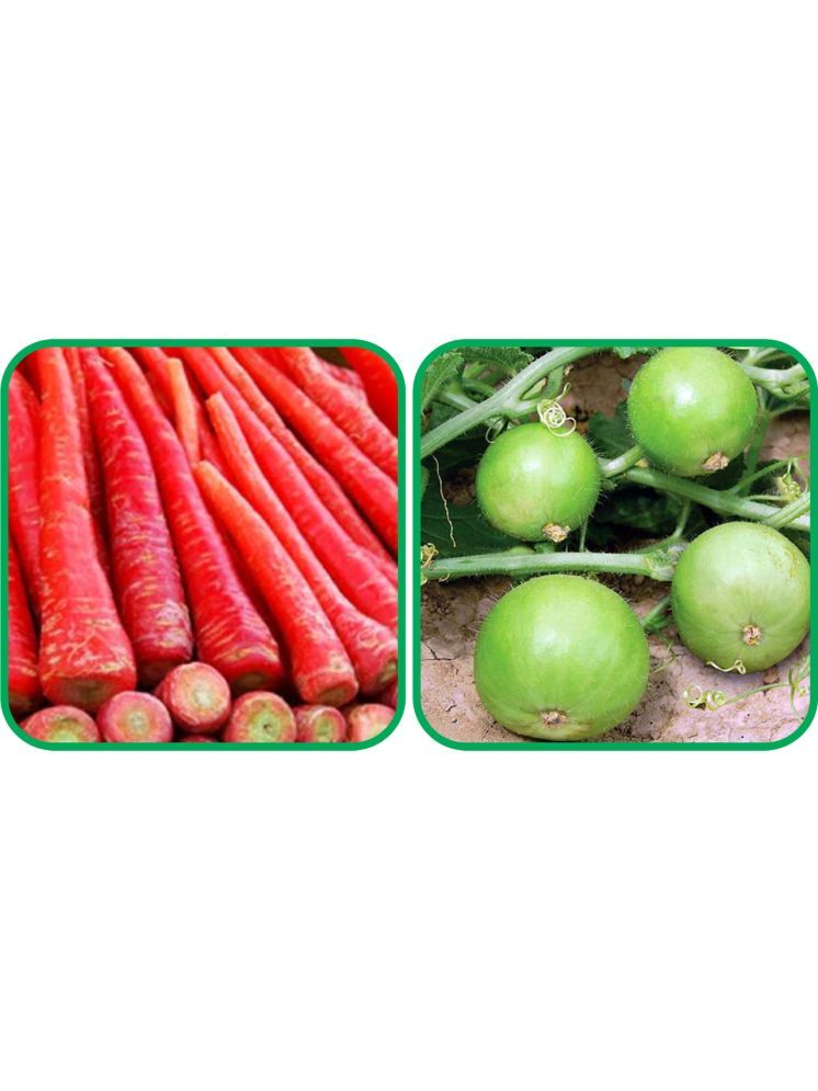     			Aero Seeds Tinda ( 30 Seeds) And Redish Red ( 100 Seeds) Vegetable Seeds Pack