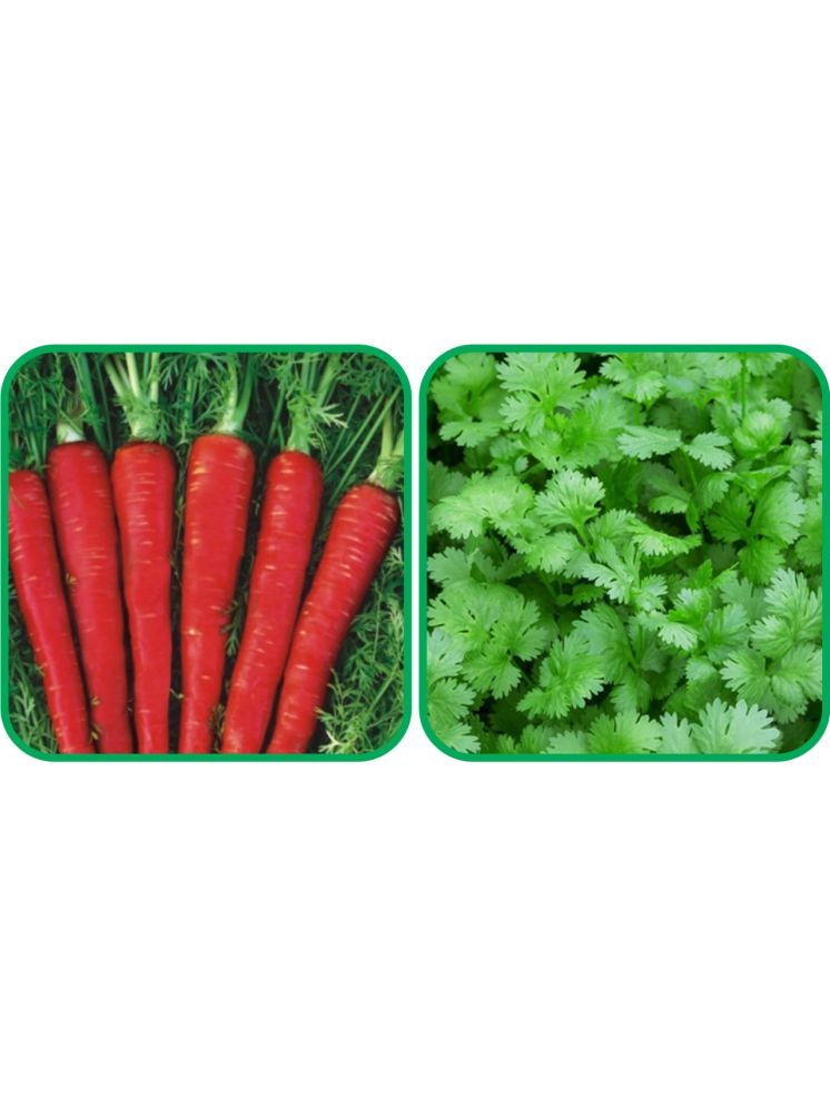     			Aero Seeds Coriander (200 Seeds) And Red Carrot ( 200 Seeds) Vegetable Seeds Pack