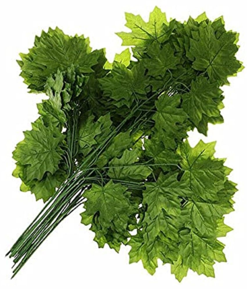     			Green plant indoor - Green Maple Artificial Plants Bunch ( Pack of 12 )