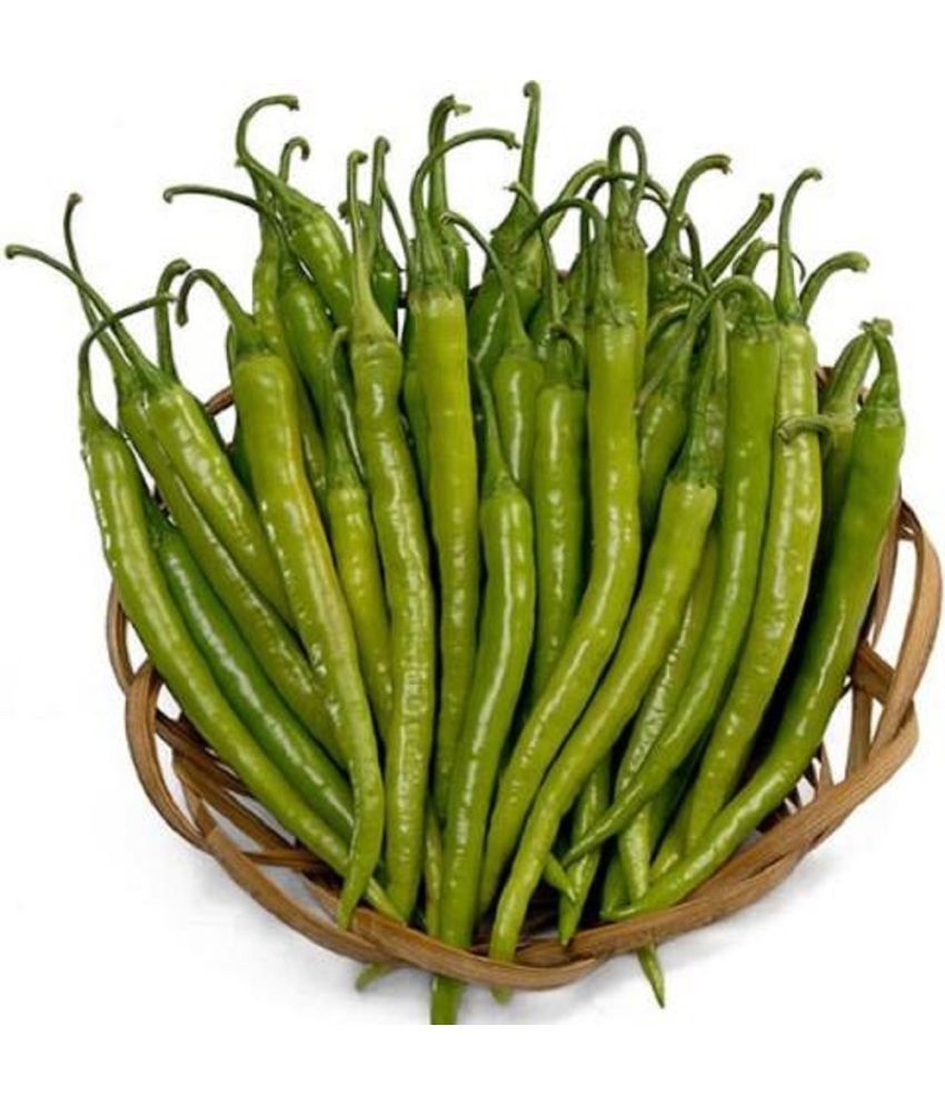     			Jignisha Seeds Hybrid Green Chilli Vegetable ( 50 Seeds )