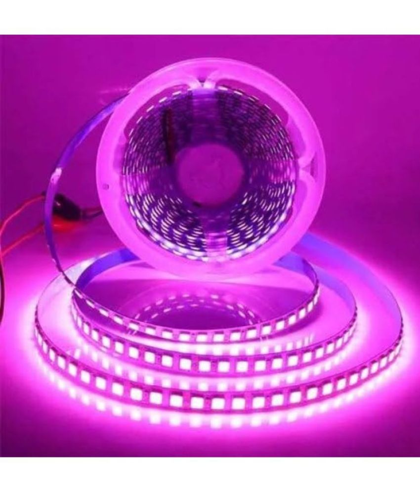     			ZESTRUM Pink 5M Neon Light ( Pack of 1 )