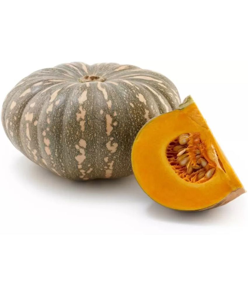     			LiveNature Pumpkin Vegetable ( 50 Seeds )