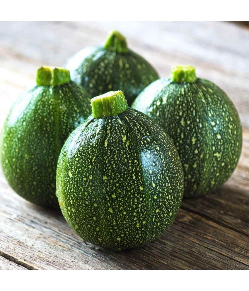     			LiveNature Squash Zucchini Vegetable ( 50 Seeds )