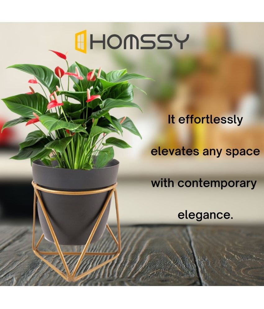     			HOMSSY Black Plant container ( Pack of 1 )