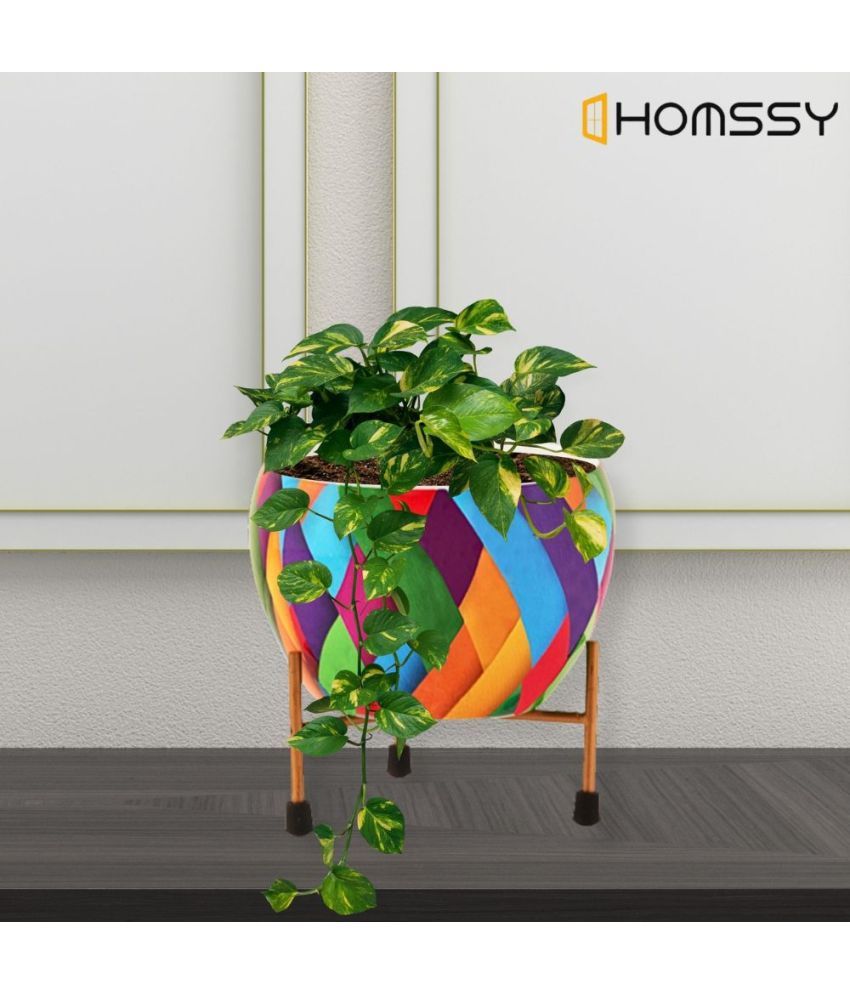     			HOMSSY Multicolor Metal Plant container ( Pack of 1 )