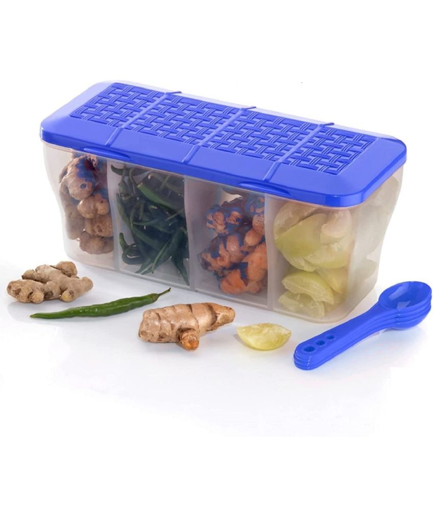     			Vittamix 4- SECTION BLUE 1 Plastic Blue Spice Container ( Set of 1 )