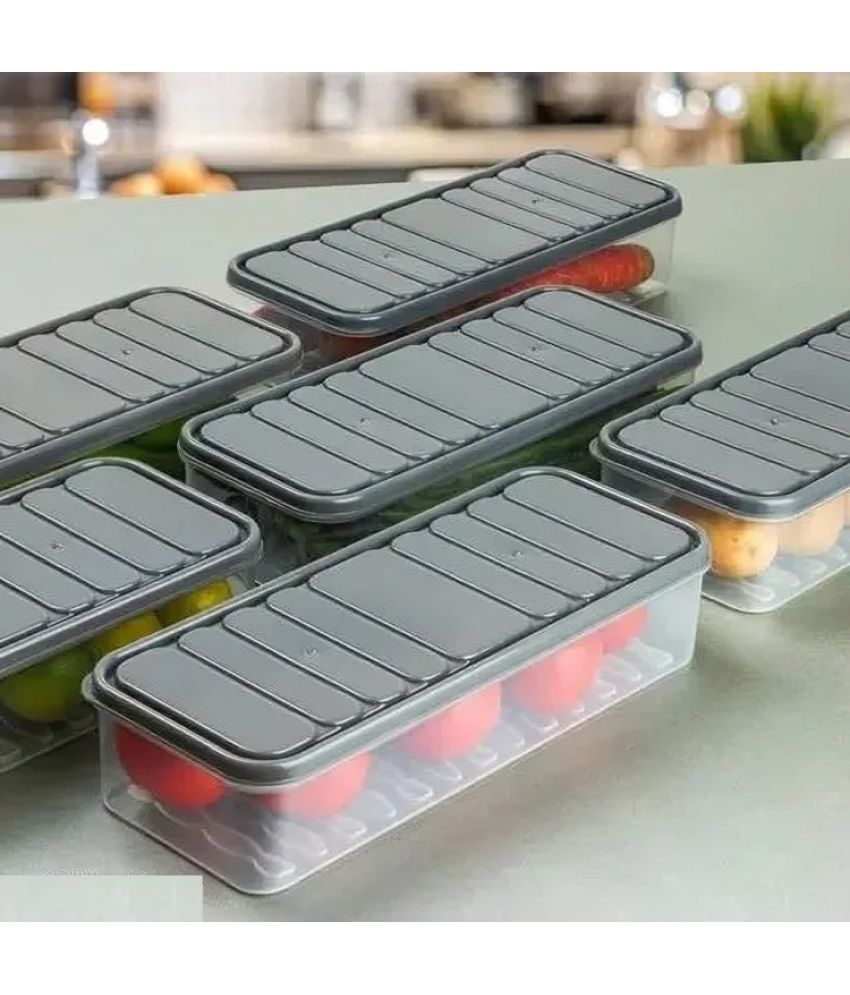     			WARMFLOW moduler Plastic Grey Food Container ( Set of 1 )