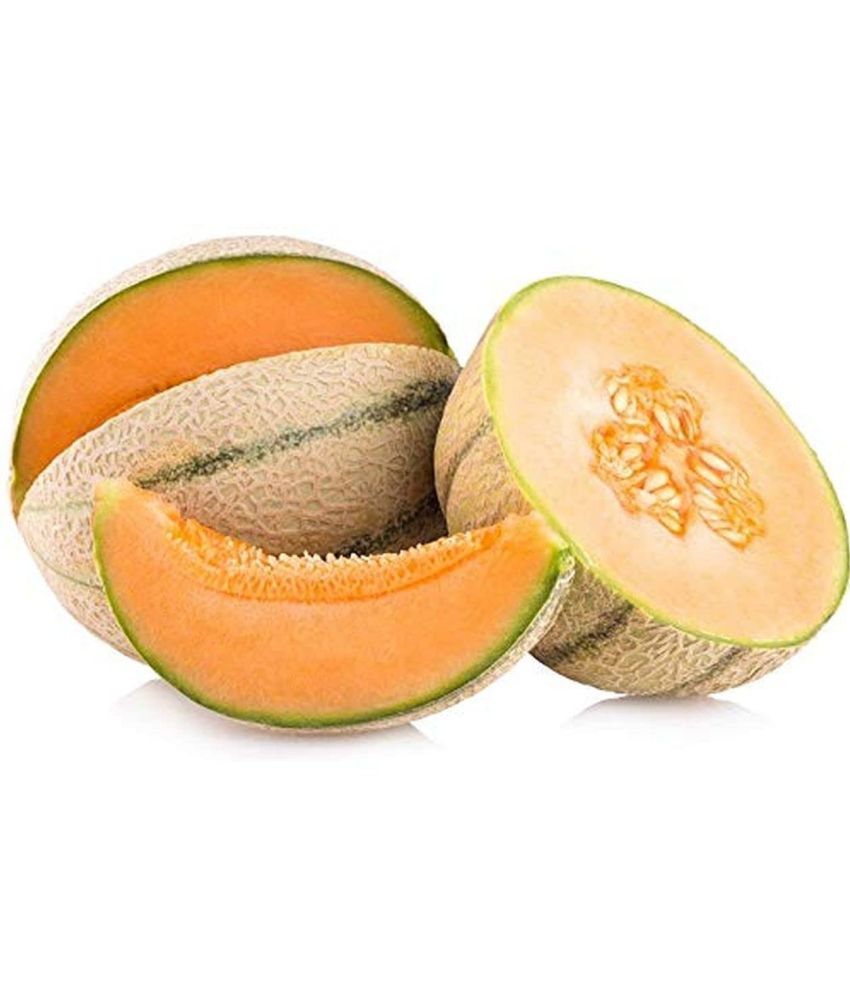     			LiveNature Muskmelon Striped Fruit ( 100 Seeds )