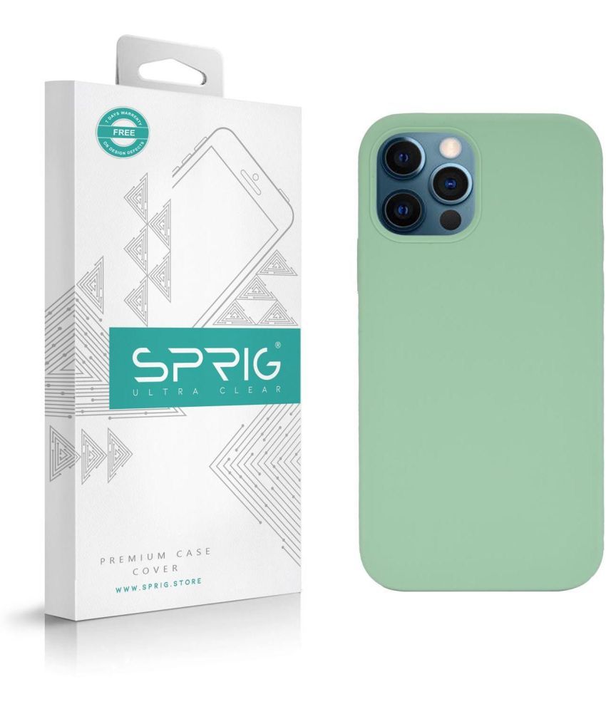     			Sprig Plain Cases Compatible For Silicon Apple Iphone 12 Pro ( Pack of 1 )