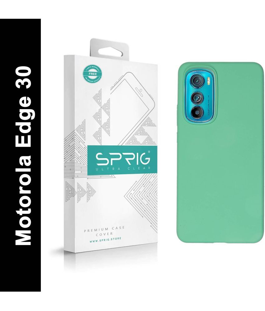     			Sprig Plain Cases Compatible For Silicon Motorola Edge 30 ( Pack of 1 )