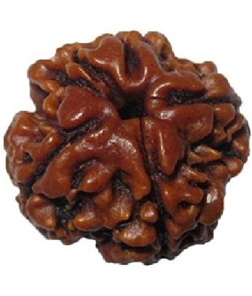     			YASH GEMS Rudraksha Bead ( Pack of 1 )