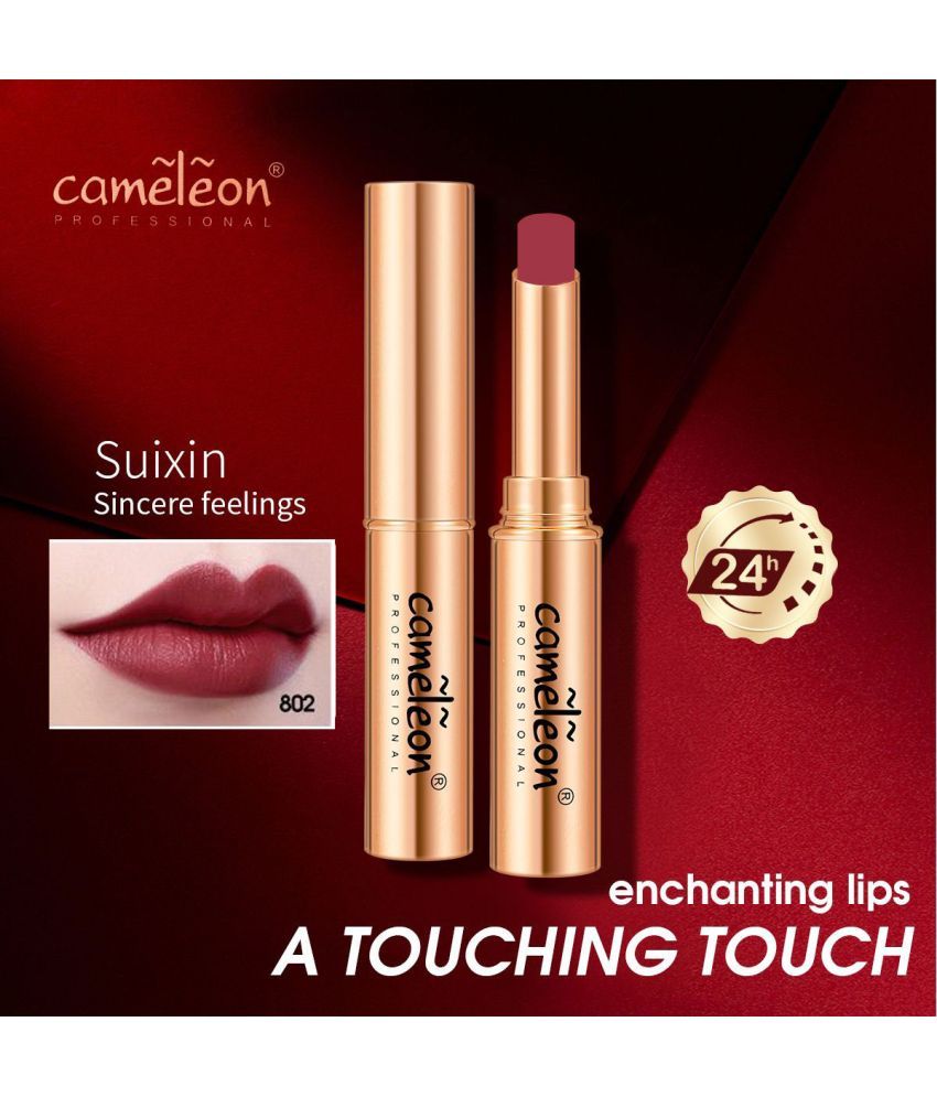     			Cameleon Rust Matte Lipstick 4