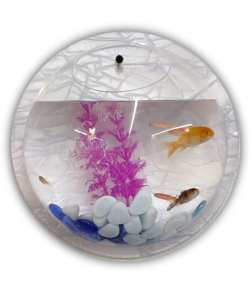 Aquarium Wall Fish Tank Bowl Buy Aquarium Wall Fish Tank Bowl Online