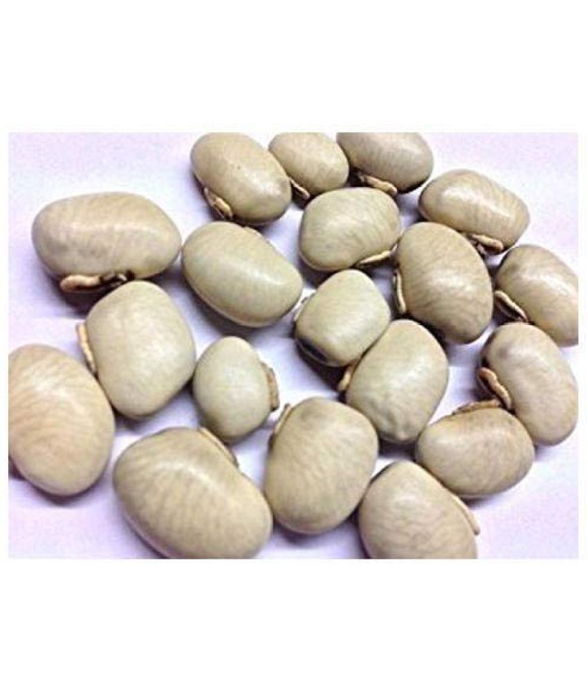     			Nutrixia Food Kauch Beej/कौच बीज/Konch/Mucuna pruriens/Kaunch Seeds  50 gm