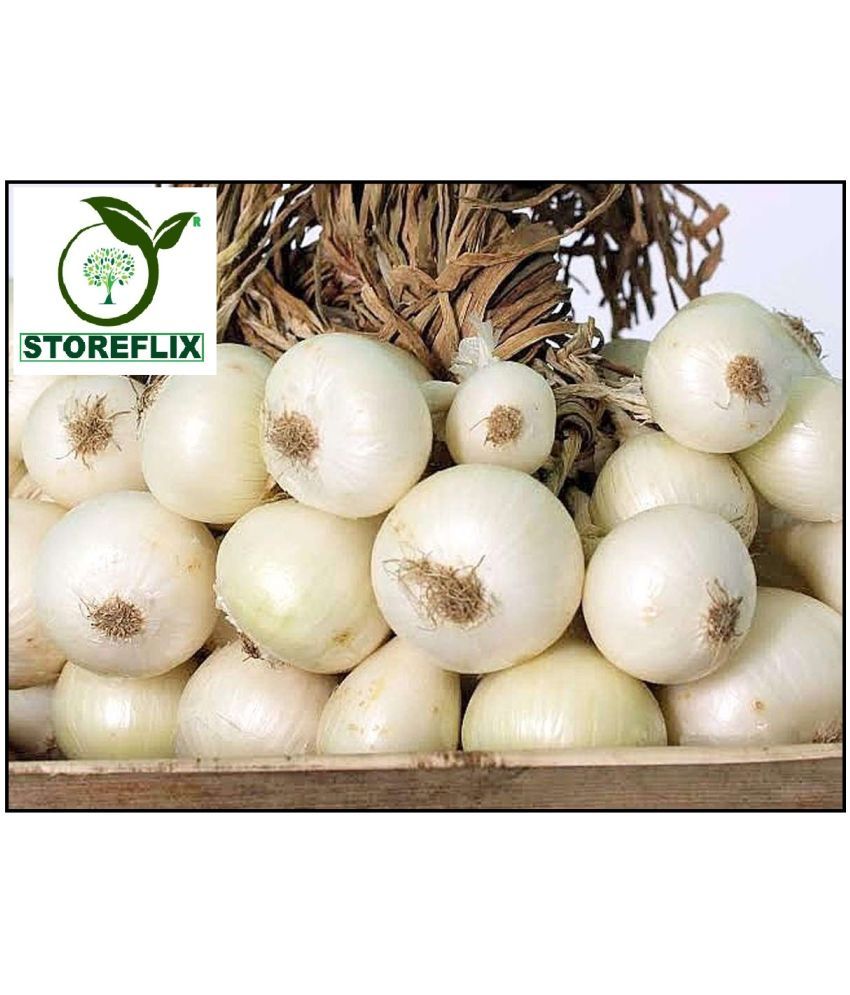     			STOREFLIX ONION WHITE KANDA PYAJ VEGETABLE Seed (200 per packet) WITH USER MANUAL