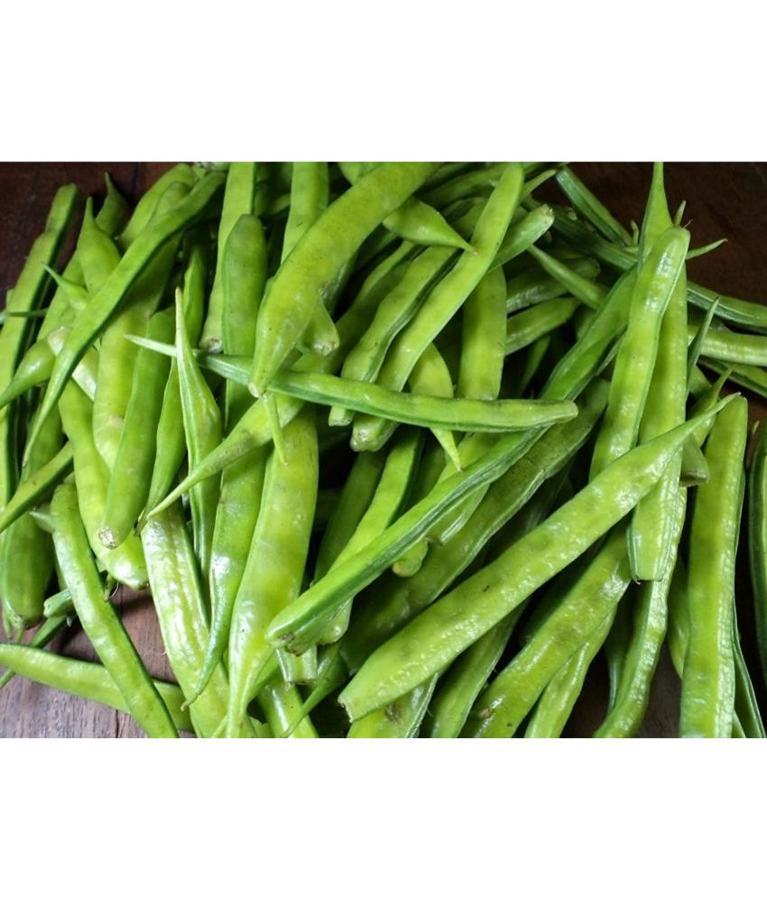     			Cluster Bean Vegetable Hybrid |Seeds pack of 50 seeds