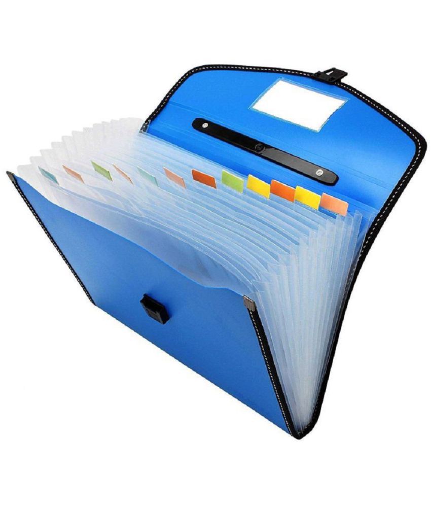 RAVARIYA GRAPHICS Plastic File Folder F/C Expanding Bag with Handle 9999 (13Folder multicolor)