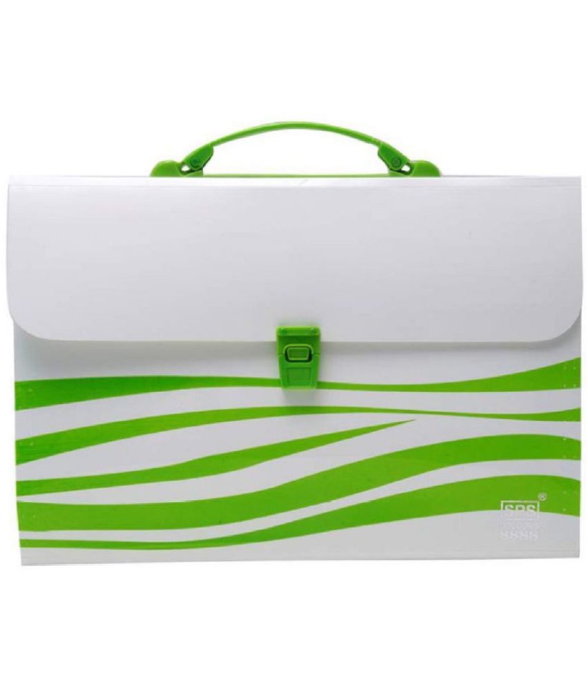 RAVARIYA GRAPHICS Presents Plastic File Folder F/C Expanding Bag with Handle (Multicoloured)