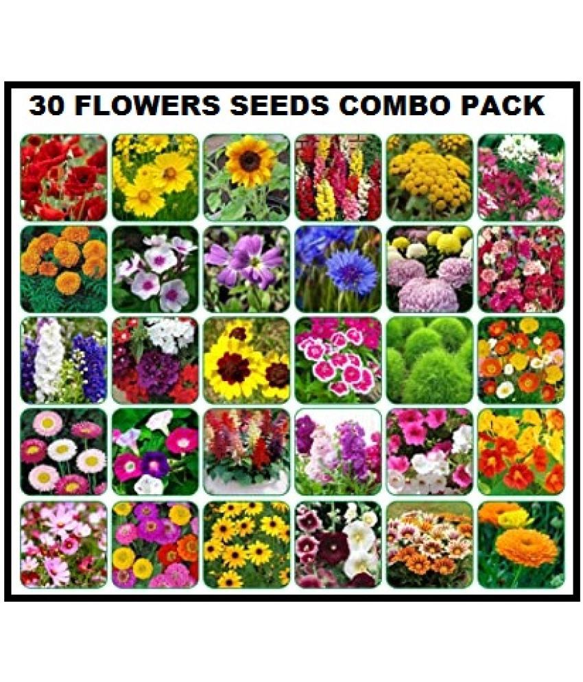     			COMBO PACK OF 30 DIFFERENT TYPE WINTER SUMMER FLOWER PLANT MIX 500+ SEEDS COMBO PACK WITH COCOPEAT AND USER MANUAL