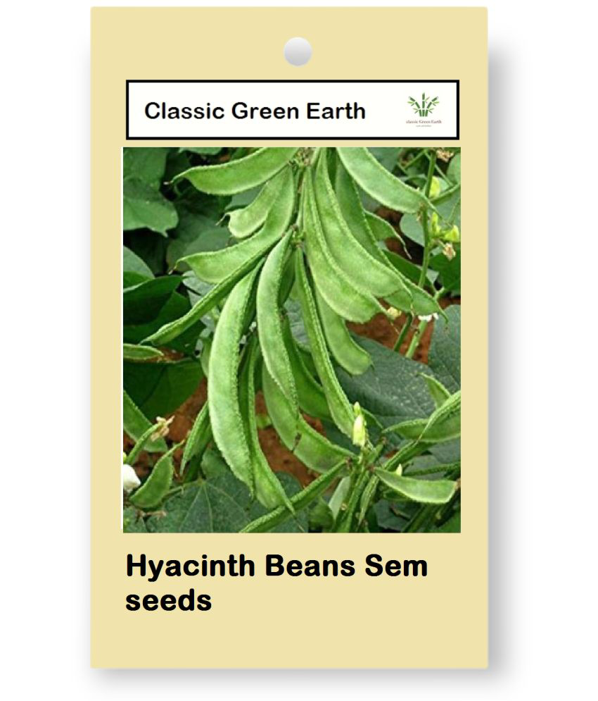     			CLASSIC GREEN EARTH - Vegetable Seeds ( 10 )