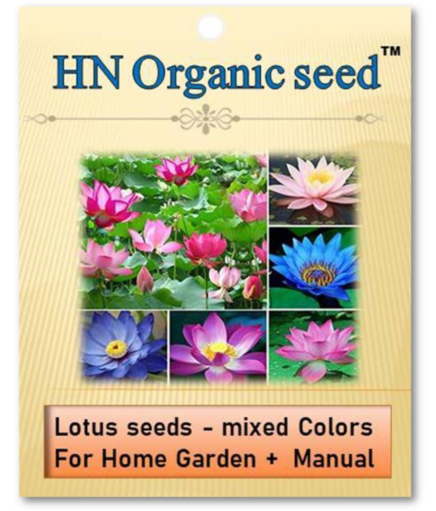     			homeagro - Flower Seeds ( Lotus seeds -mixed colours 20 seeds )