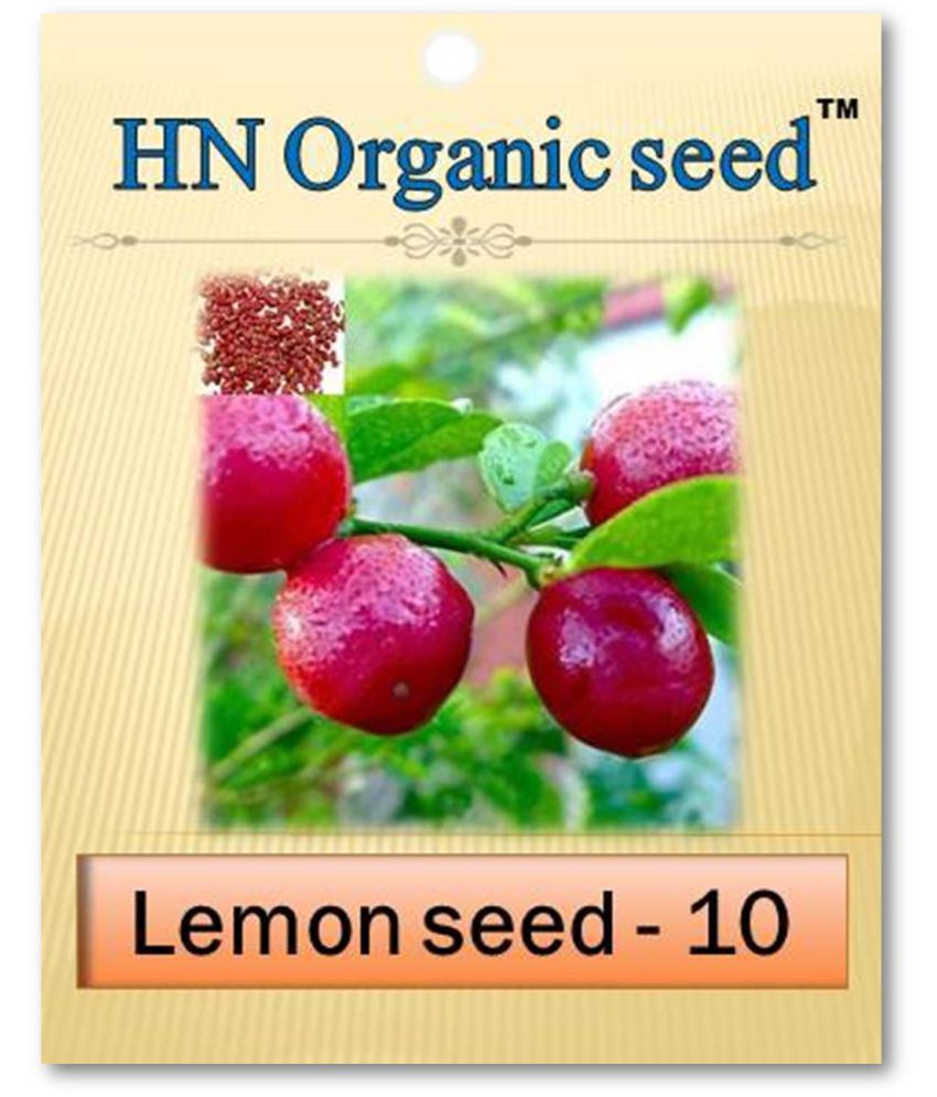     			homeagro - Vegetable Seeds ( 10 )