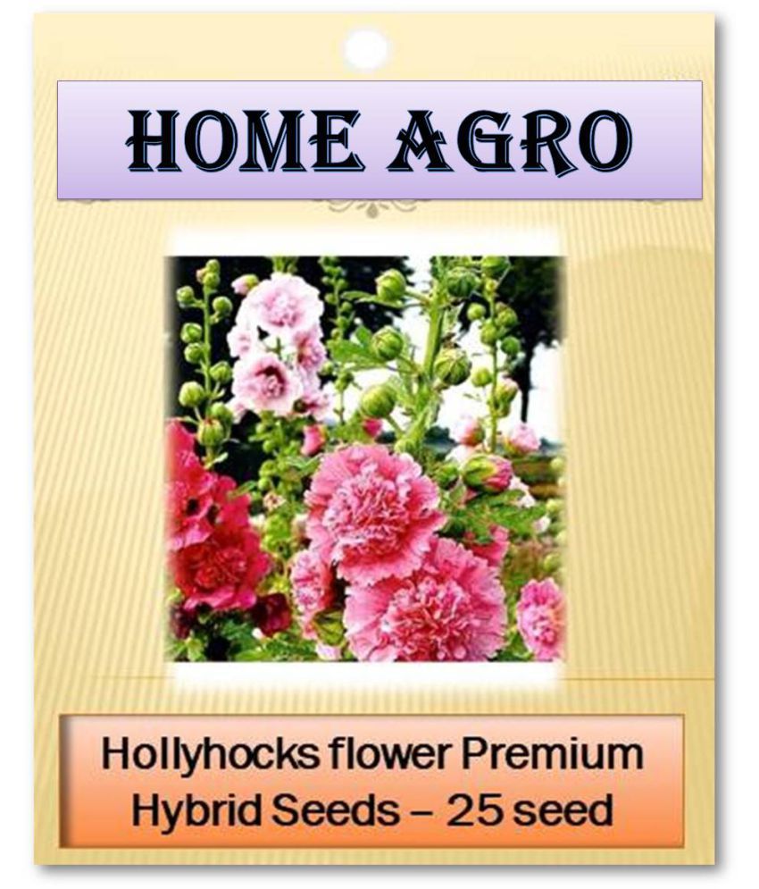 homeagro - Flower Seeds ( 25 )