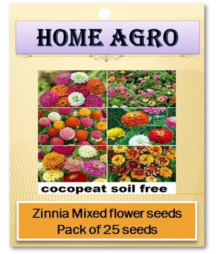     			homeagro - Flower Seeds ( 25 )