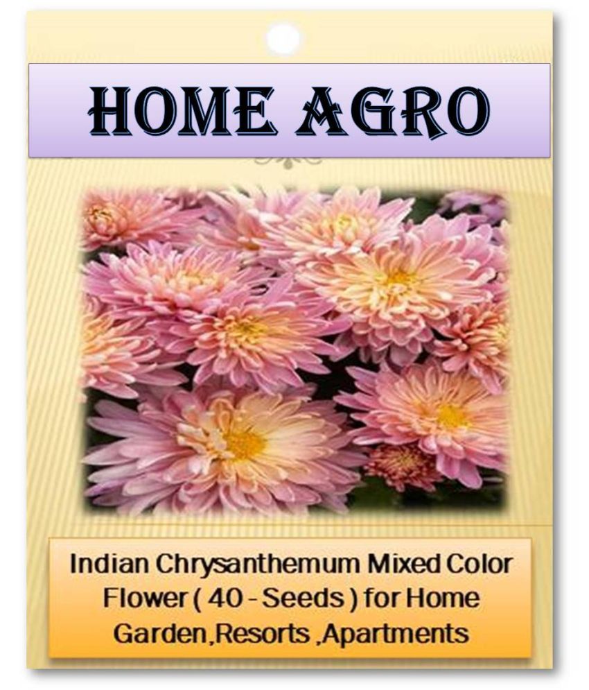     			HN organic seed - Flower Seeds ( 40 )