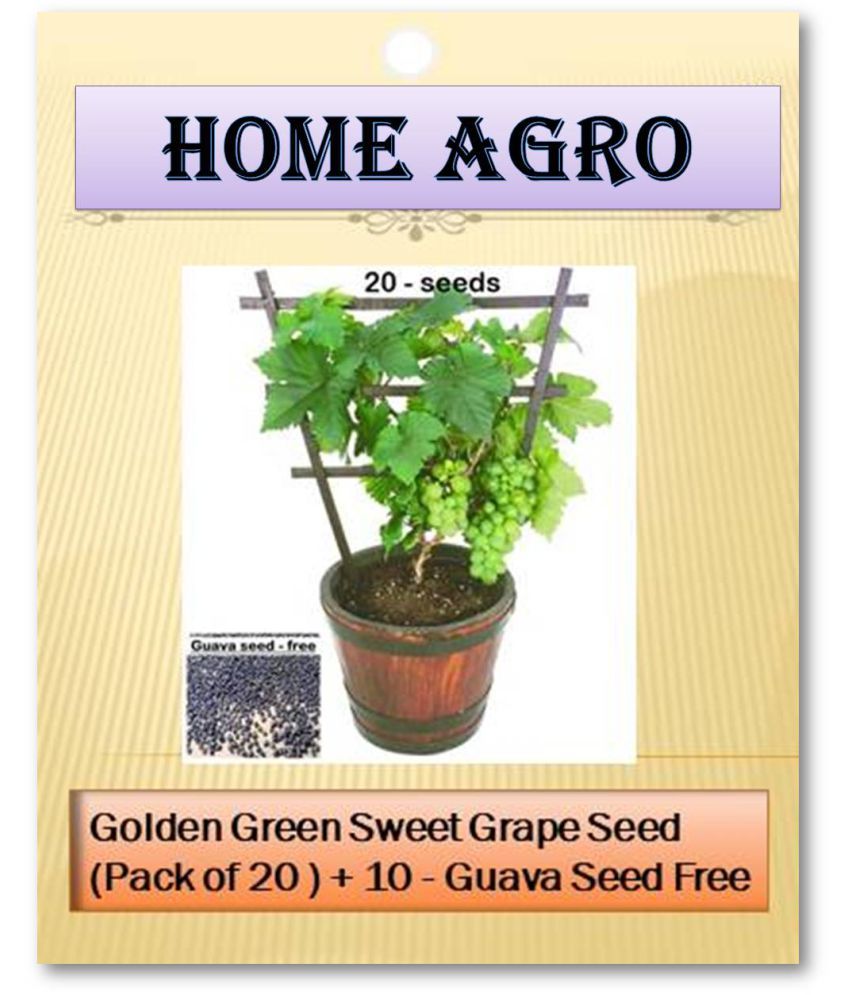     			homeagro - Fruit Seeds ( 20 )