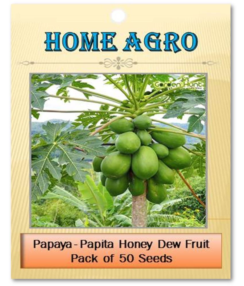     			homeagro - Fruit Seeds ( 50 - seed )