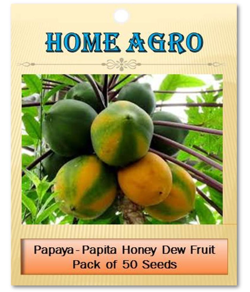     			homeagro - Fruit Seeds ( 50 - seed )