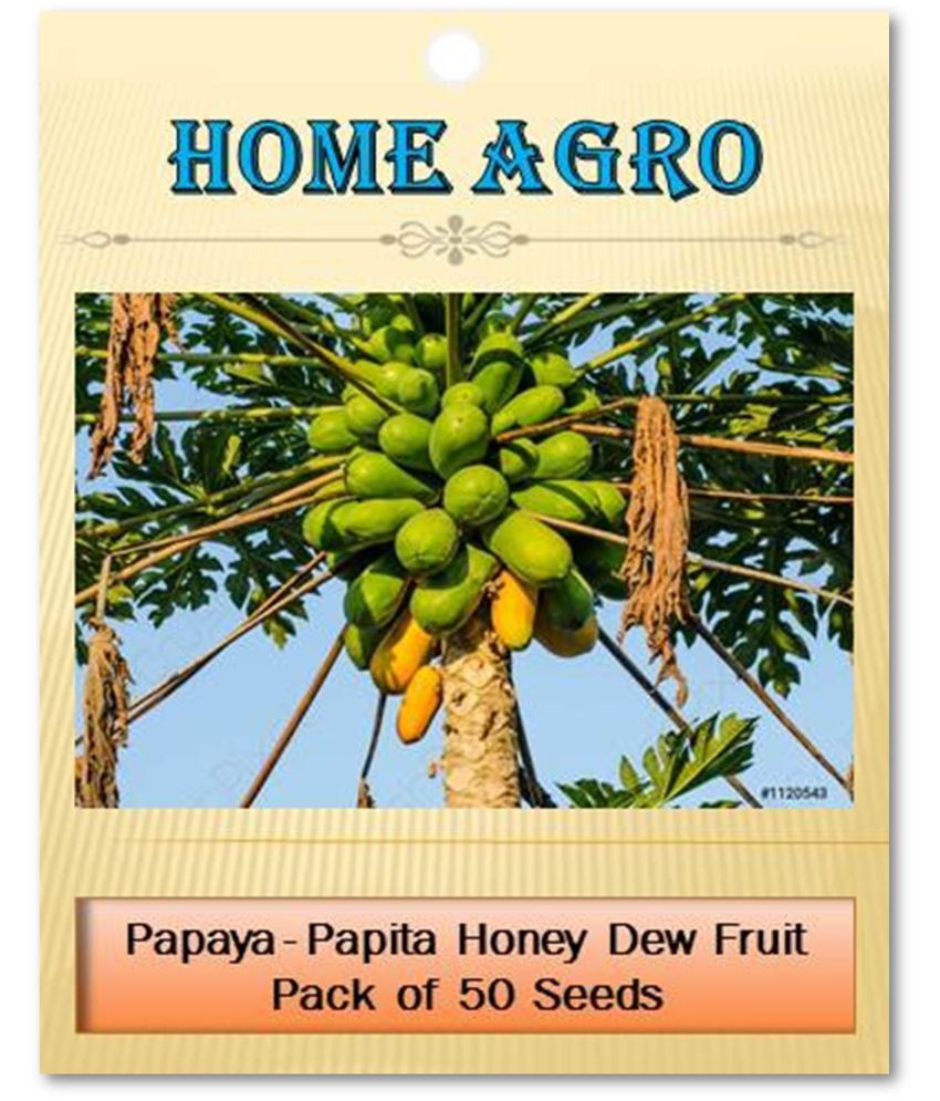     			homeagro - Fruit Seeds ( 50 - seed )