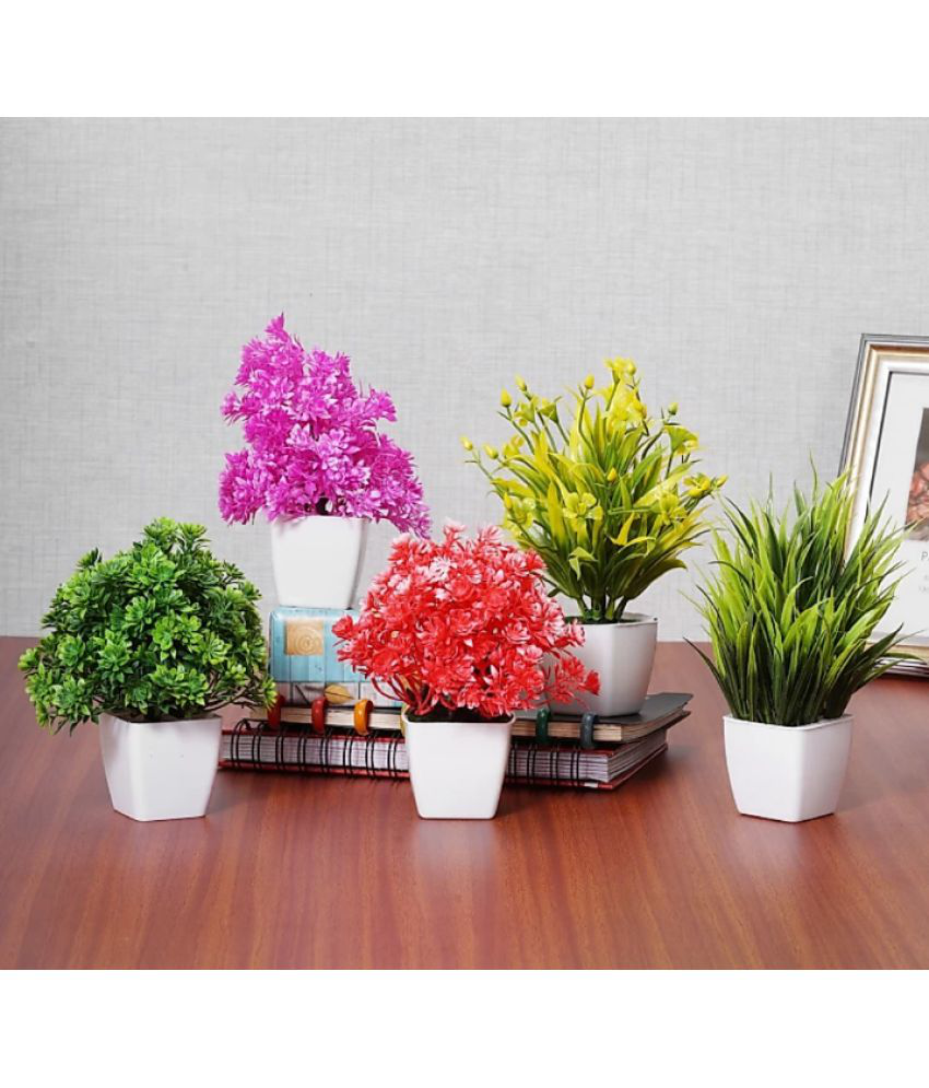     			zonezer WILD PLANT Multicolour Bonsai Plastic - Pack of 5